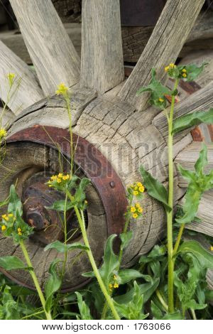 Roda de vagão e flores amarelas