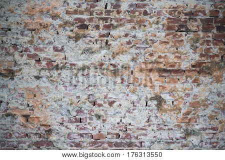 From the old wall plaster showered, background