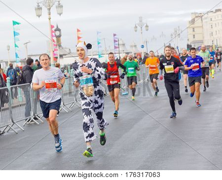 BRIGHTON GREAT BRITAIN - FEB 26 2017: Man dressed as a cow and competitors r running in the Vitality Brighton half marathon competition. February 26 2017 in Brighton Great Britain