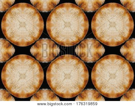 close up on the core of wood texture background