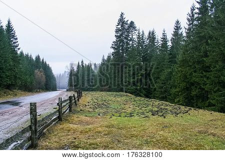 Road through Yablunetsky pass a mountain pass in the Eastern Carpathians connecting the valleys of the rivers Prut and Black Tisa. Saddle in the narrowing of Yablunytsa range reaches 921 m above sea level. March 2007