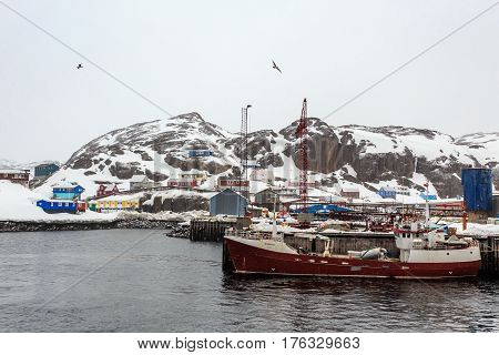 Fishing Boat At The Pier Of Maniitsoq Village With Colorful Houses On The Rocks In Background, Green