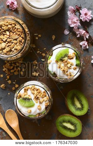 Yogurt parfait with fresh kiwi and crunchy almond and oatmeal granola in glasses with ingredients on the side photographed overhead on slate with natural light (Selective Focus Focus on the top of the parfait)