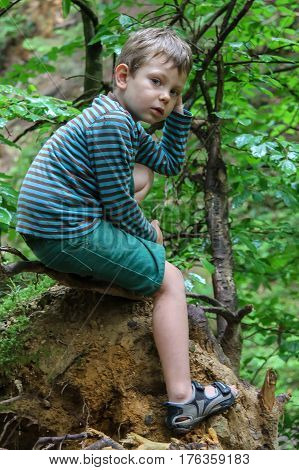 Small boy in striped sweater and shorts in summer forest park