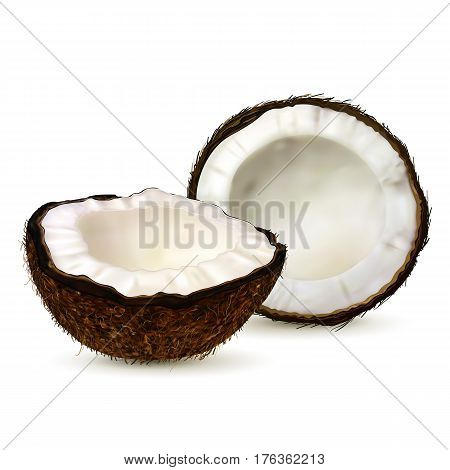 Realistic coconut two halves of coco on white background. Vector.