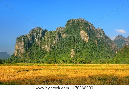 Harvested Rice Field Surrounded By Rock Formations In Vang Vieng, Vientiane Province, Laos