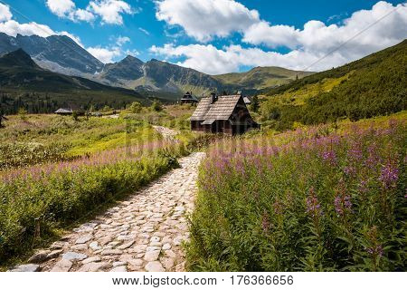 Summer view to Hala Gasienicowa in valley, Tatra mountains Zakopane Poland