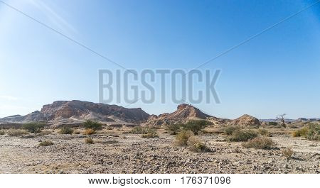 Hiking in mideast stone desert tourism of israel