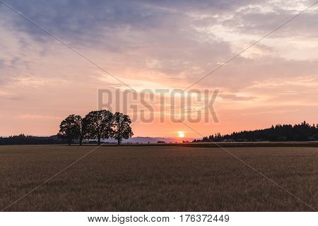 Colorful Sunset In Rural Farm Land