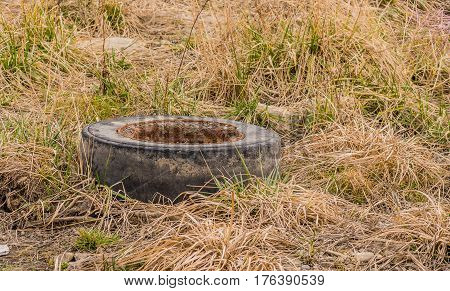 Old used tire with rusted rim laying in the grass in a woodland park area in South Korea