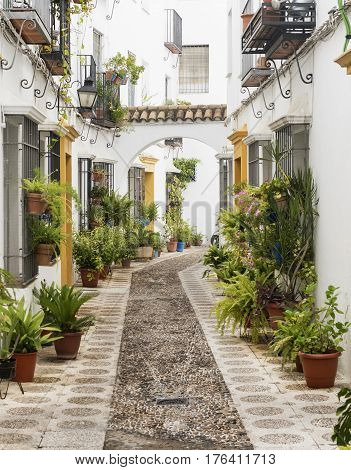 Cordoba (Andalucia Spain): old typical street in the Juderia with plants and flowers