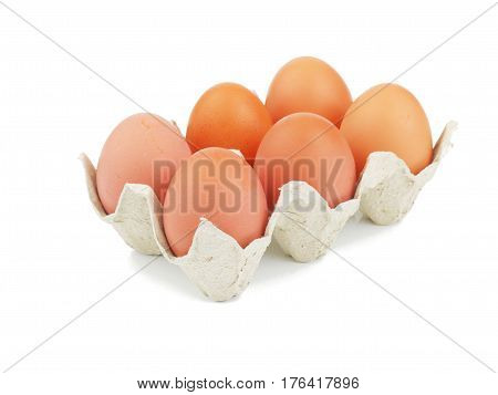 Organic egg in paperboard egg cartons isolated on white