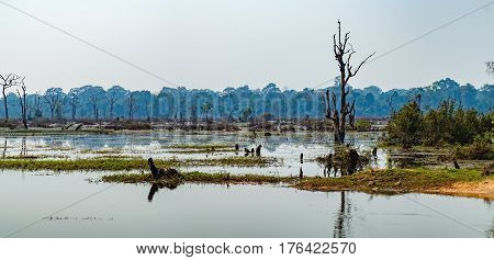Beautiful artificial lake with with trees and other vegetation around the Neak Pean Temple in Angkor Complex, Siem Reap, Cambodia.
