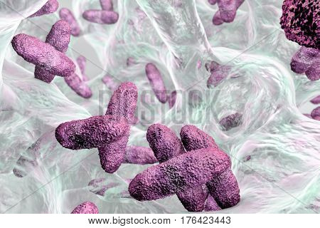 Biofilm containing bacteria Klebsiella, 3D illustration. Gram-negative rod-shaped bacteria which are often nosocomial antibiotic resistant