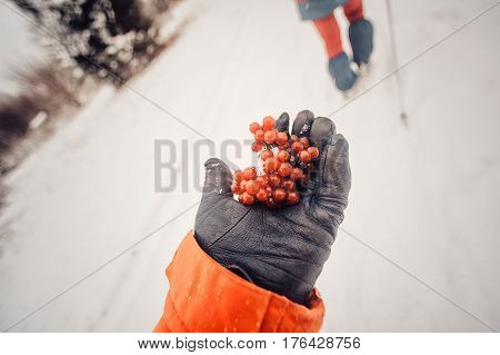 Winter Sport Activity. Woman Hiker Hiking With Backpack And Snowshoes Snowshoeing On Snow Trail Fore