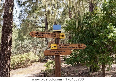 Hiking trail in Tamadaba Natural Park in Gran Canaria