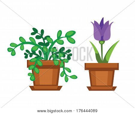 Cartoon tree vector illustration isolated on white background. Color environment trunk freshness natural eco icon. Organic plant juicy farm ripe agriculture.