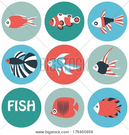 Stylized aquarium ornamental river and sea color fish