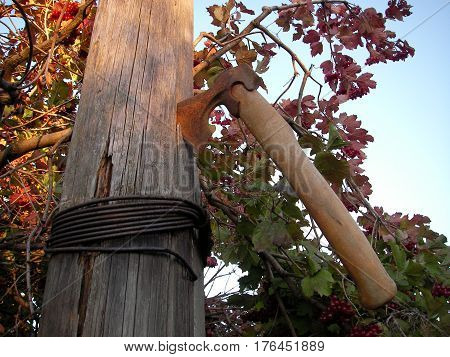 The axe with the wooden handle is thrust in a column