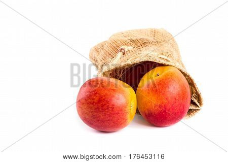 apple in cotton bag on a white background