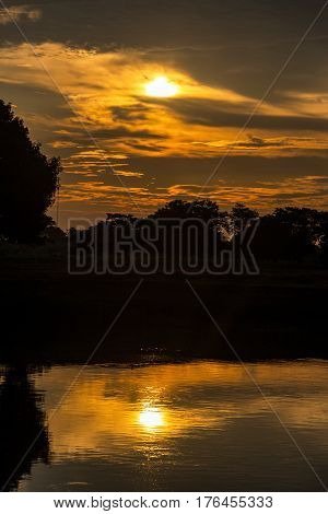 Magdalena River Sunrise Vertical