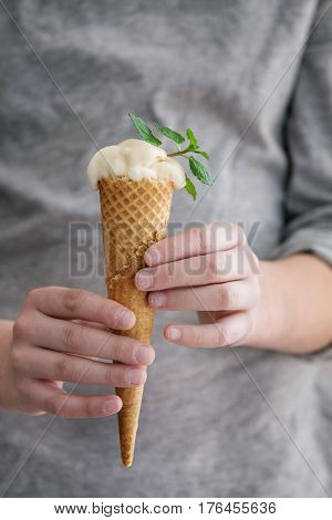 Vanilla soft elastic ice cream with mint leaves in waffle cone in boy hands. Boy in gray jacket. Day light. Summer dessert