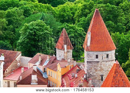 Tallinn. Estonia. View to old town from Oleviste church in summer