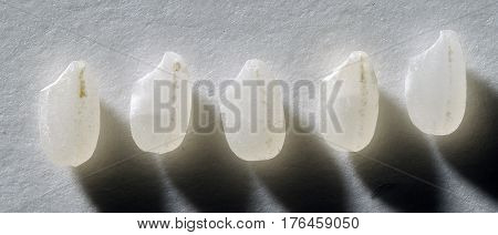 Close up of five Koshihikari rice grains