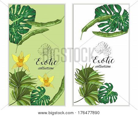Vertical Vectror Banners With Hand Drawn Tropical Flowers And Leaves. Package Design.