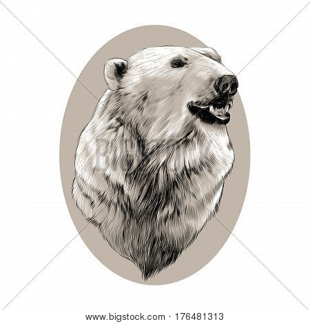 the head of the polar bear profile looking to the side sketch graphics vector black and white pattern on a brown background of the oval circle