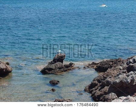 En la playa rocosa donde las aves eran felices