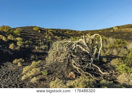 Volcanic Landscape In Lanzarote, Timanfaya National Park