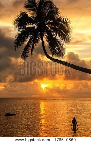Silhouette Of Leaning Palm Tree And A Woman At Sunrise On Taveuni Island, Fiji