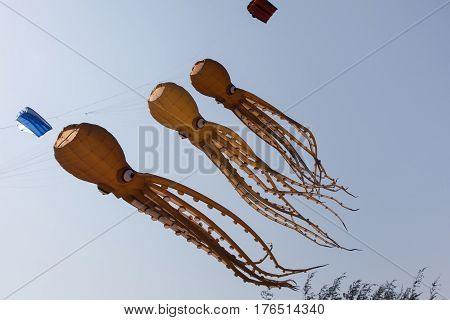 Colorful kites flying in blue sky. Marine creature. Quids.