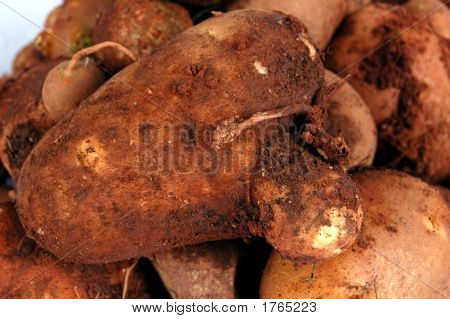 Kartoffeln