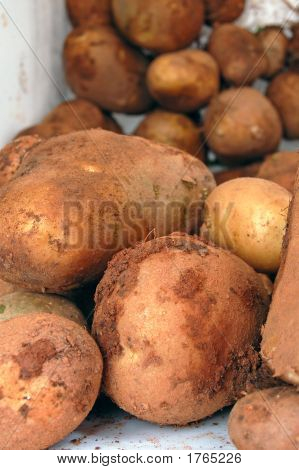 Kartoffeln