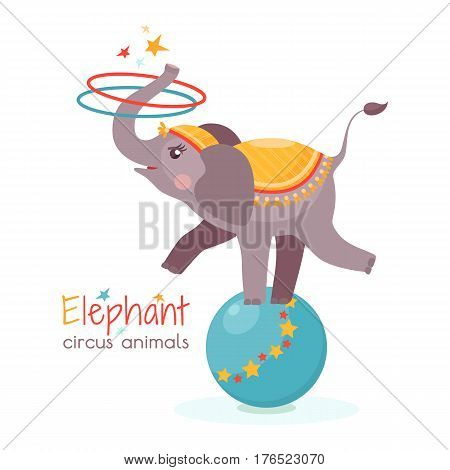Сircus elephant balances on ball and twists the hoops with its trunk. Vector illustration in cartoon style for ticket invitation card flyer etc. Trained animal performs on the scene