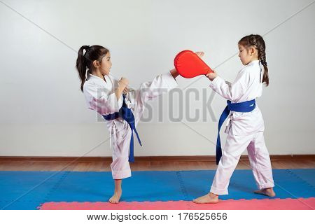 Two little girls demonstrate martial arts working together. Fighting position active lifestyle practicing fighting techniques