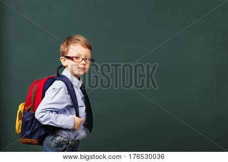 Cheerful Smiling Little Kid With Big Backpack