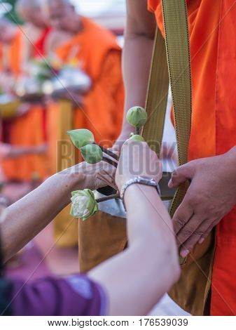 Offer sacrifice flowers to monk, Buddhist  religion