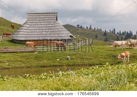 Photo shows old wooden houses in the mountains in summer.