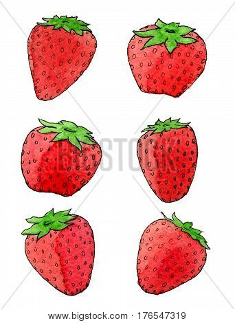 Hand drawn watercolor strawberries isolated on the white background