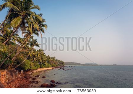 Beautiful view of beach near ocean and palm trees in India