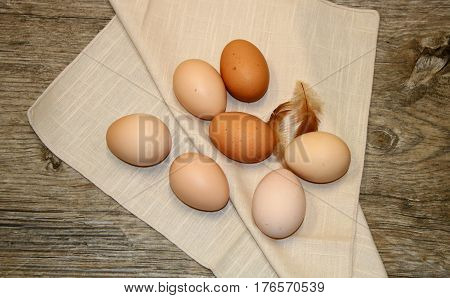 Seven brown eggs arranged on beige linen napkin with two small red chicken feathers on weathered wood background.