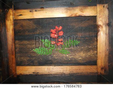 Composition with flowers and a wooden frame on a wooden background