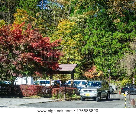 Autumn Scenery In Nikko, Japan
