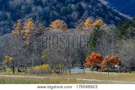 Autumn Scenery In Nikko, Japan