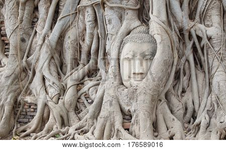 Ancient buddha statue archaeological site at Ayutthaya in Thailand