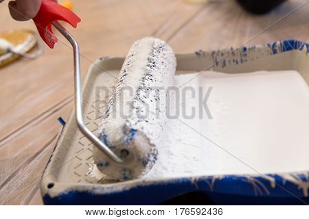 Paint Tray With White Paint And Roller, Painting The Wall