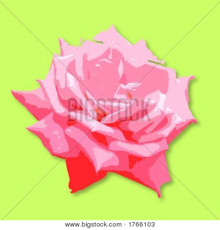 Rosa